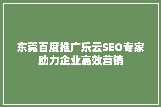东莞百度推广乐云SEO专家助力企业高效营销