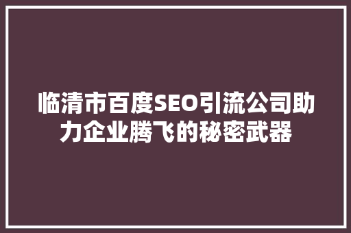 临清市百度SEO引流公司助力企业腾飞的秘密武器