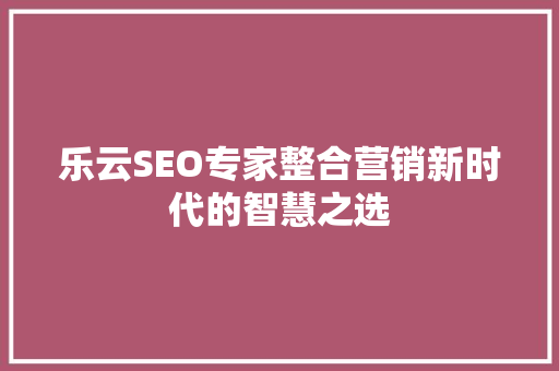 乐云SEO专家整合营销新时代的智慧之选
