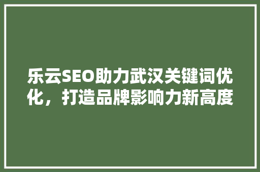 乐云SEO助力武汉关键词优化，打造品牌影响力新高度