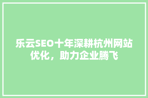 乐云SEO十年深耕杭州网站优化，助力企业腾飞
