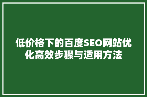低价格下的百度SEO网站优化高效步骤与适用方法