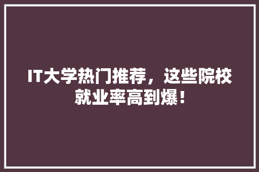 IT大学热门推荐，这些院校就业率高到爆！