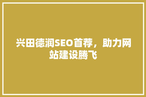 兴田德润SEO首荐，助力网站建设腾飞