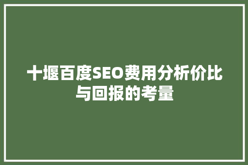 十堰百度SEO费用分析价比与回报的考量