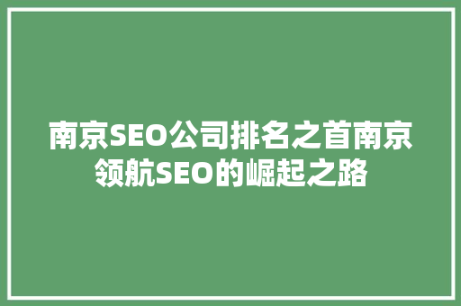南京SEO公司排名之首南京领航SEO的崛起之路