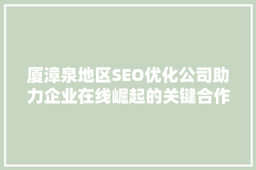 厦漳泉地区SEO优化公司助力企业在线崛起的关键合作伙伴
