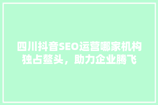 四川抖音SEO运营哪家机构独占鳌头，助力企业腾飞
