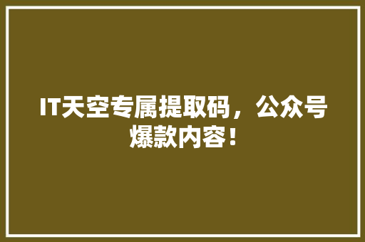 IT天空专属提取码，公众号爆款内容！