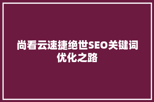 尚看云速捷绝世SEO关键词优化之路