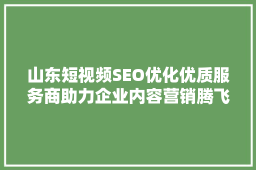山东短视频SEO优化优质服务商助力企业内容营销腾飞