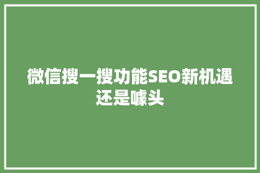 微信搜一搜功能SEO新机遇还是噱头