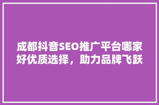 成都抖音SEO推广平台哪家好优质选择，助力品牌飞跃