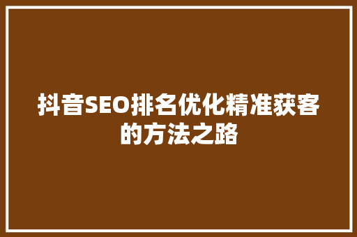 抖音SEO排名优化精准获客的方法之路