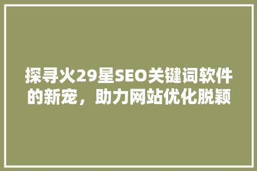 探寻火29星SEO关键词软件的新宠，助力网站优化脱颖而出