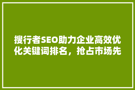 搜行者SEO助力企业高效优化关键词排名，抢占市场先机