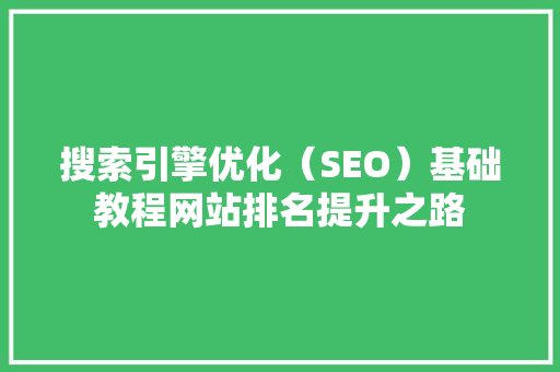 搜索引擎优化（SEO）基础教程网站排名提升之路