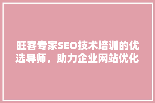旺客专家SEO技术培训的优选导师，助力企业网站优化之路