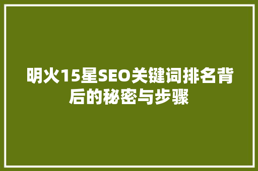 明火15星SEO关键词排名背后的秘密与步骤