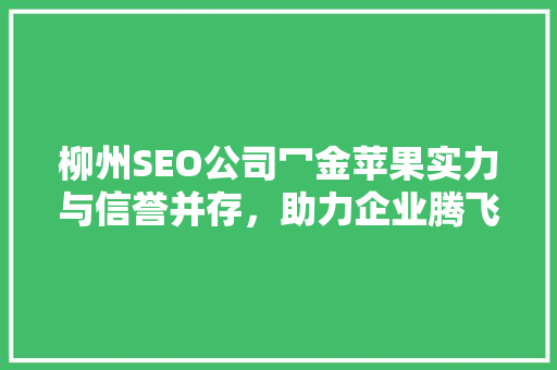 柳州SEO公司冖金苹果实力与信誉并存，助力企业腾飞