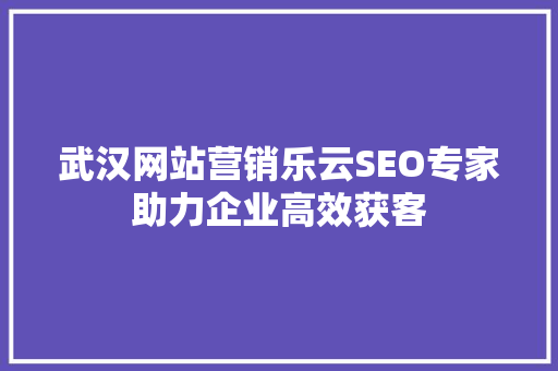 武汉网站营销乐云SEO专家助力企业高效获客
