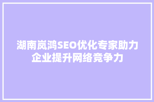 湖南岚鸿SEO优化专家助力企业提升网络竞争力