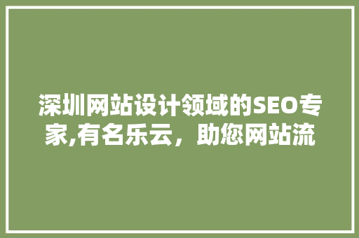 深圳网站设计领域的SEO专家,有名乐云，助您网站流量翻倍