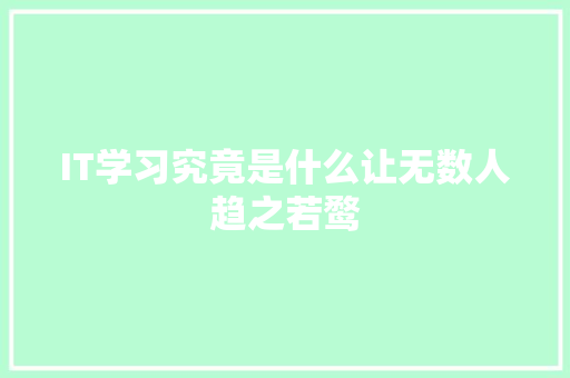 IT学习究竟是什么让无数人趋之若鹜