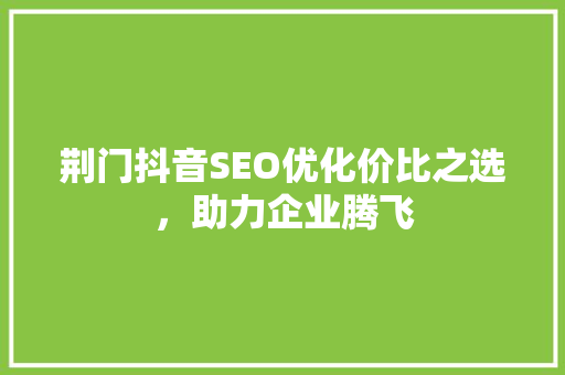 荆门抖音SEO优化价比之选，助力企业腾飞
