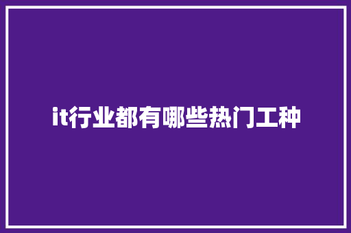 it行业都有哪些热门工种 网站建设