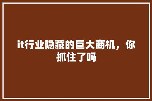 it行业隐藏的巨大商机，你抓住了吗