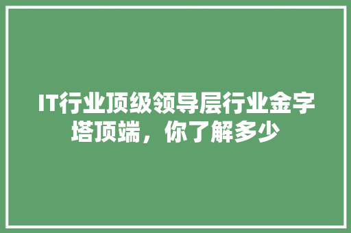 IT行业顶级领导层行业金字塔顶端，你了解多少