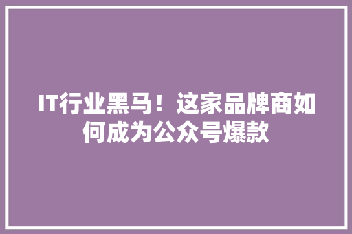 IT行业黑马！这家品牌商如何成为公众号爆款 后端技术