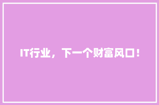 IT行业，下一个财富风口！