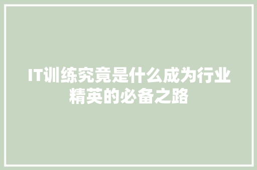 IT训练究竟是什么成为行业精英的必备之路 网站建设
