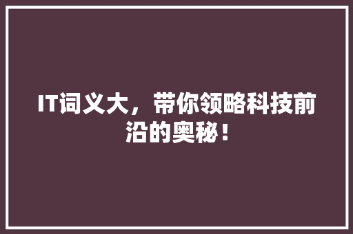 IT词义大，带你领略科技前沿的奥秘！ 网站建设