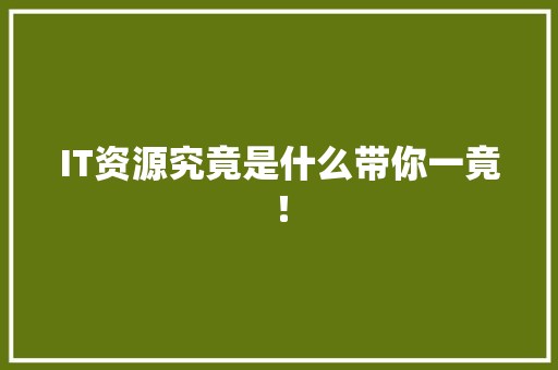 IT资源究竟是什么带你一竟！ 项目报告