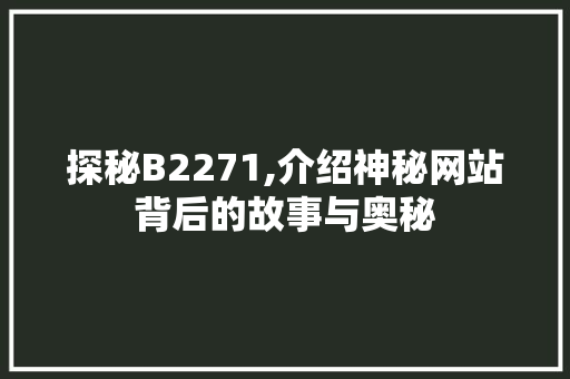 探秘B2271,介绍神秘网站背后的故事与奥秘