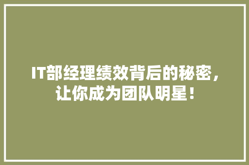 IT部经理绩效背后的秘密，让你成为团队明星！ 商务信函