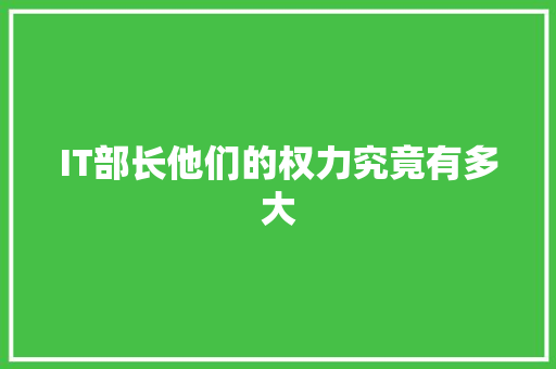 IT部长他们的权力究竟有多大