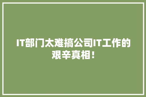 IT部门太难搞公司IT工作的艰辛真相！ 前端技术