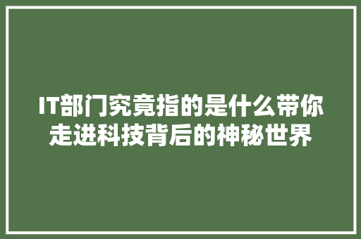 IT部门究竟指的是什么带你走进科技背后的神秘世界 前端技术