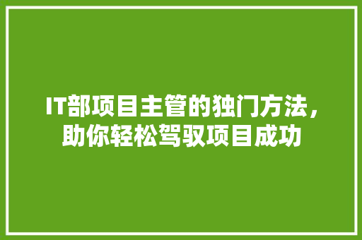 IT部项目主管的独门方法，助你轻松驾驭项目成功
