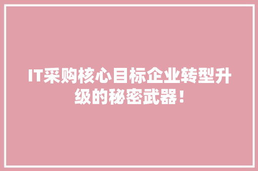 IT采购核心目标企业转型升级的秘密武器！ 网站建设