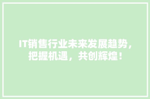 IT销售行业未来发展趋势，把握机遇，共创辉煌！ 项目报告