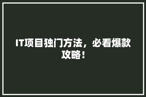 IT项目独门方法，必看爆款攻略！ 缓存Redis