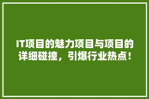 IT项目的魅力项目与项目的详细碰撞，引爆行业热点！ 后端技术