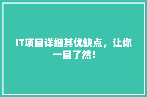 IT项目详细其优缺点，让你一目了然！ 网站建设
