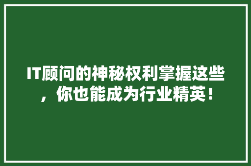IT顾问的神秘权利掌握这些，你也能成为行业精英！