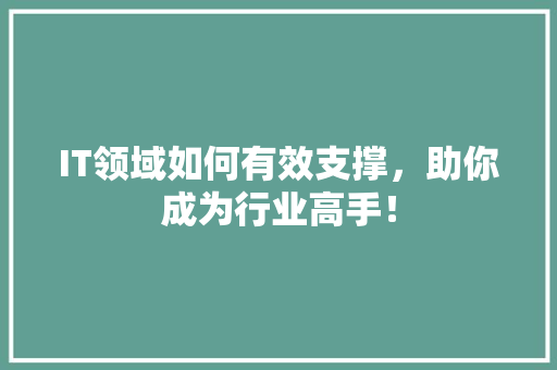 IT领域如何有效支撑，助你成为行业高手！